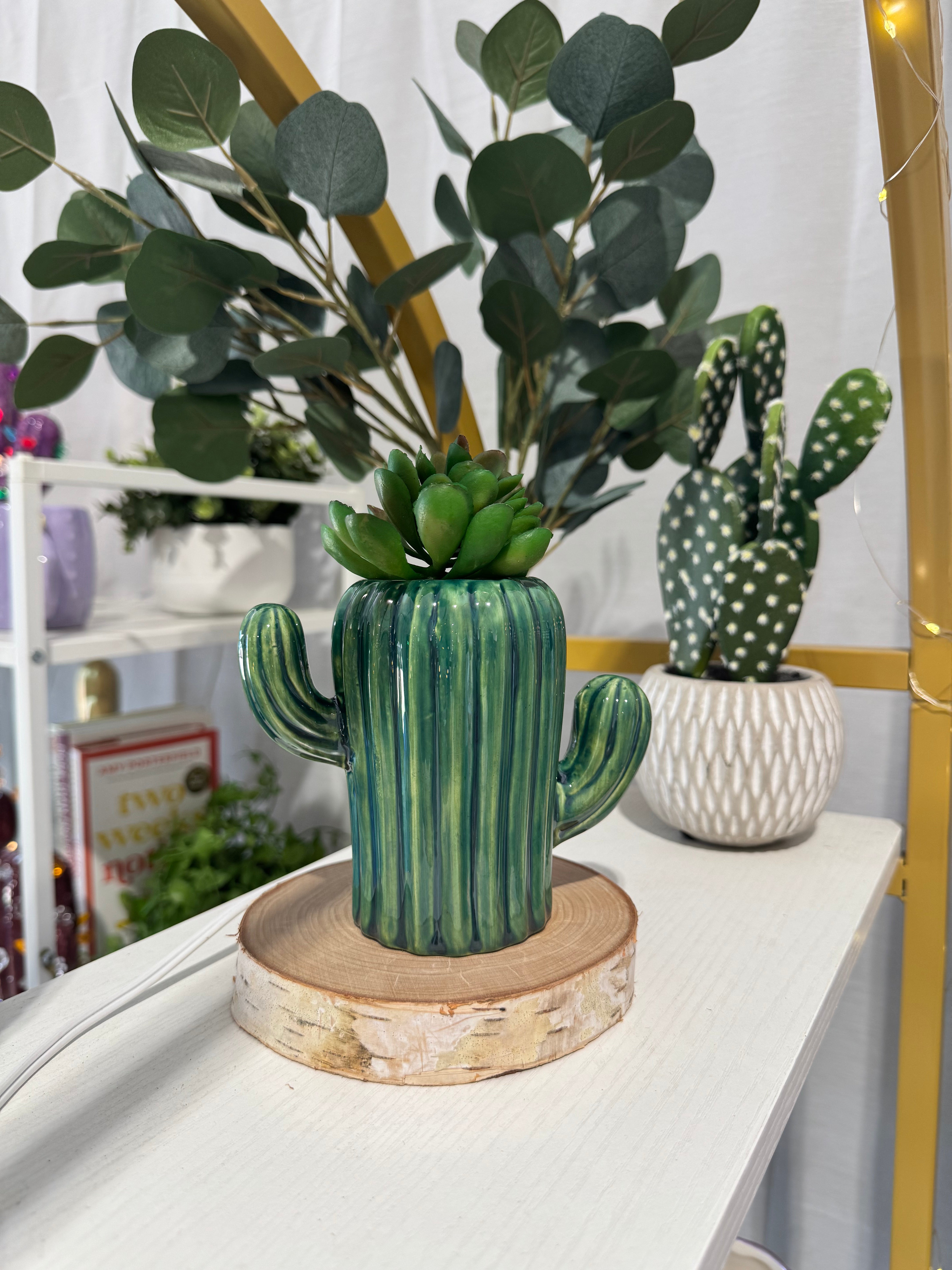 cactus pot planter Cactus Planter Burnt Orange