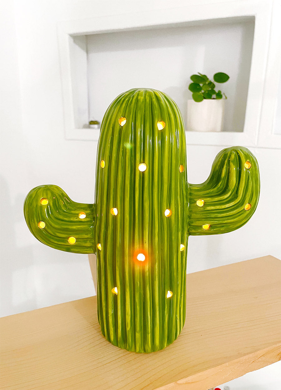 Cactus & Home Decor – Brush Strokes Pottery