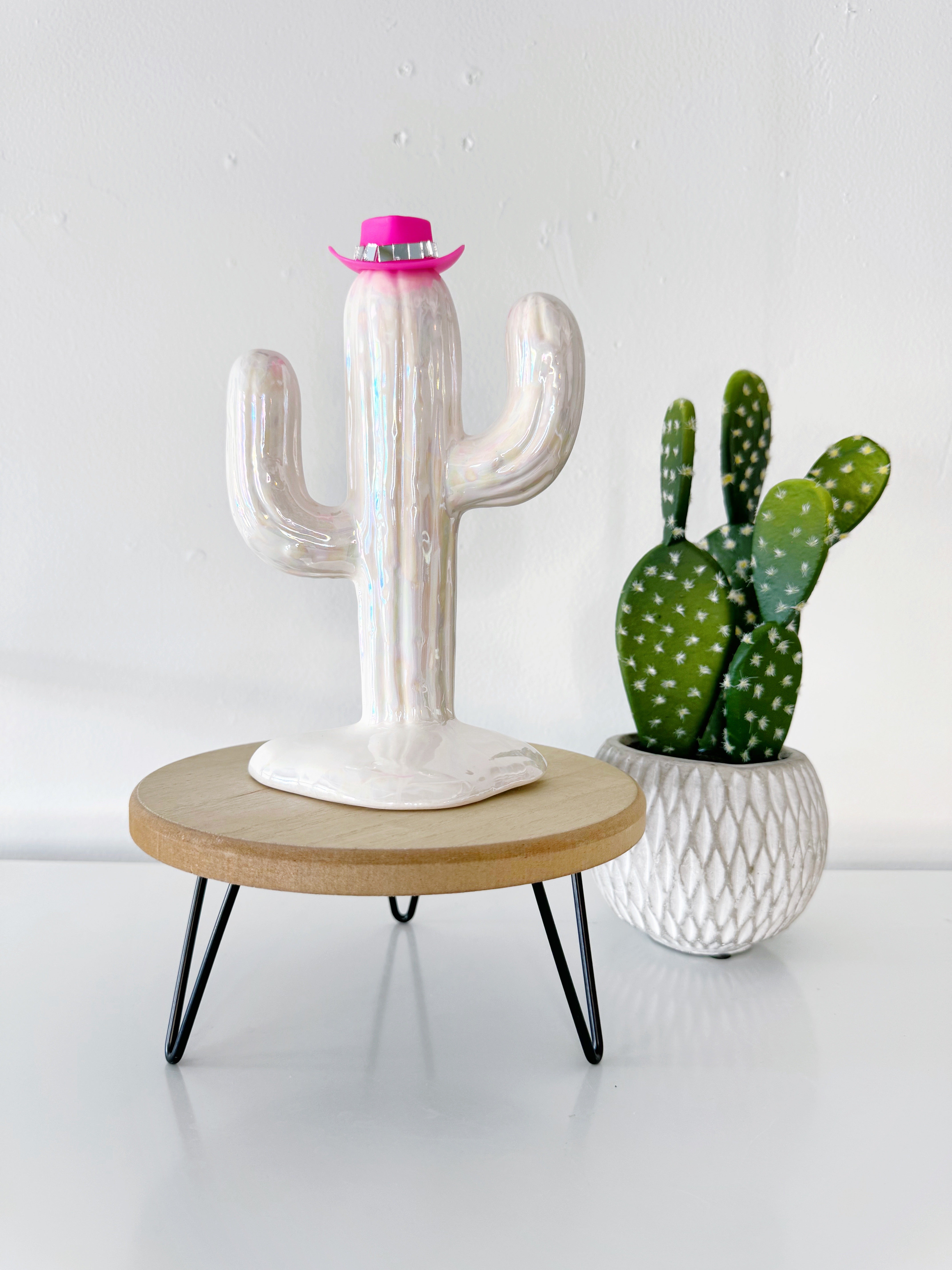 Country Ceramic Cactus Tree - The Kelsea