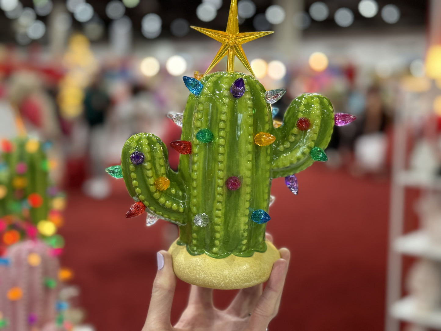 Baby Lighted Ceramic Cactus Tree