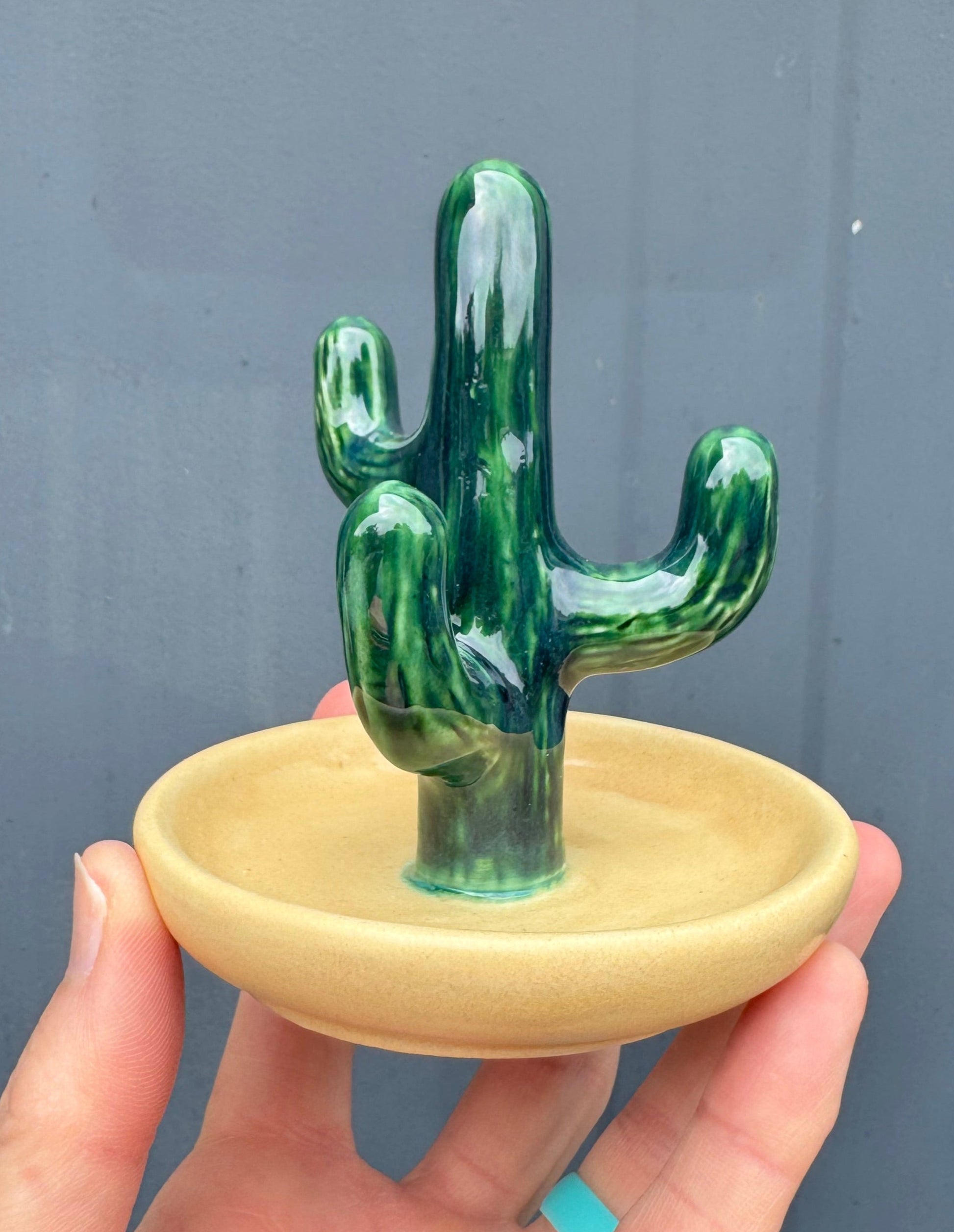 succulent ring holder Cactus Jewelry/Ring Holder Pink