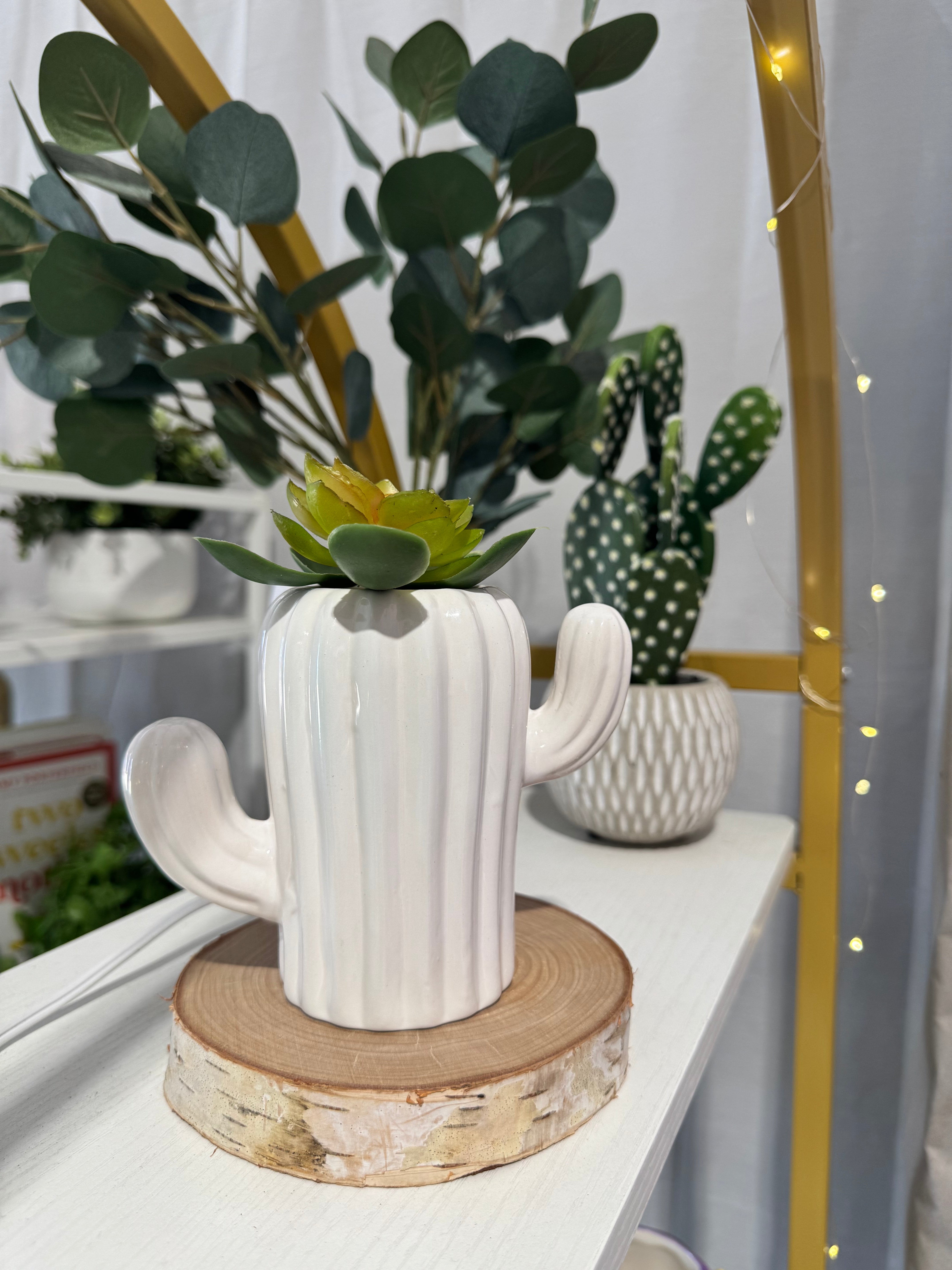 Cactus Planter