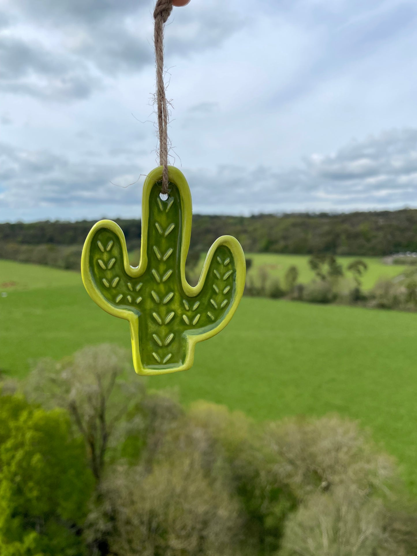 Ceramic Cactus Ornaments