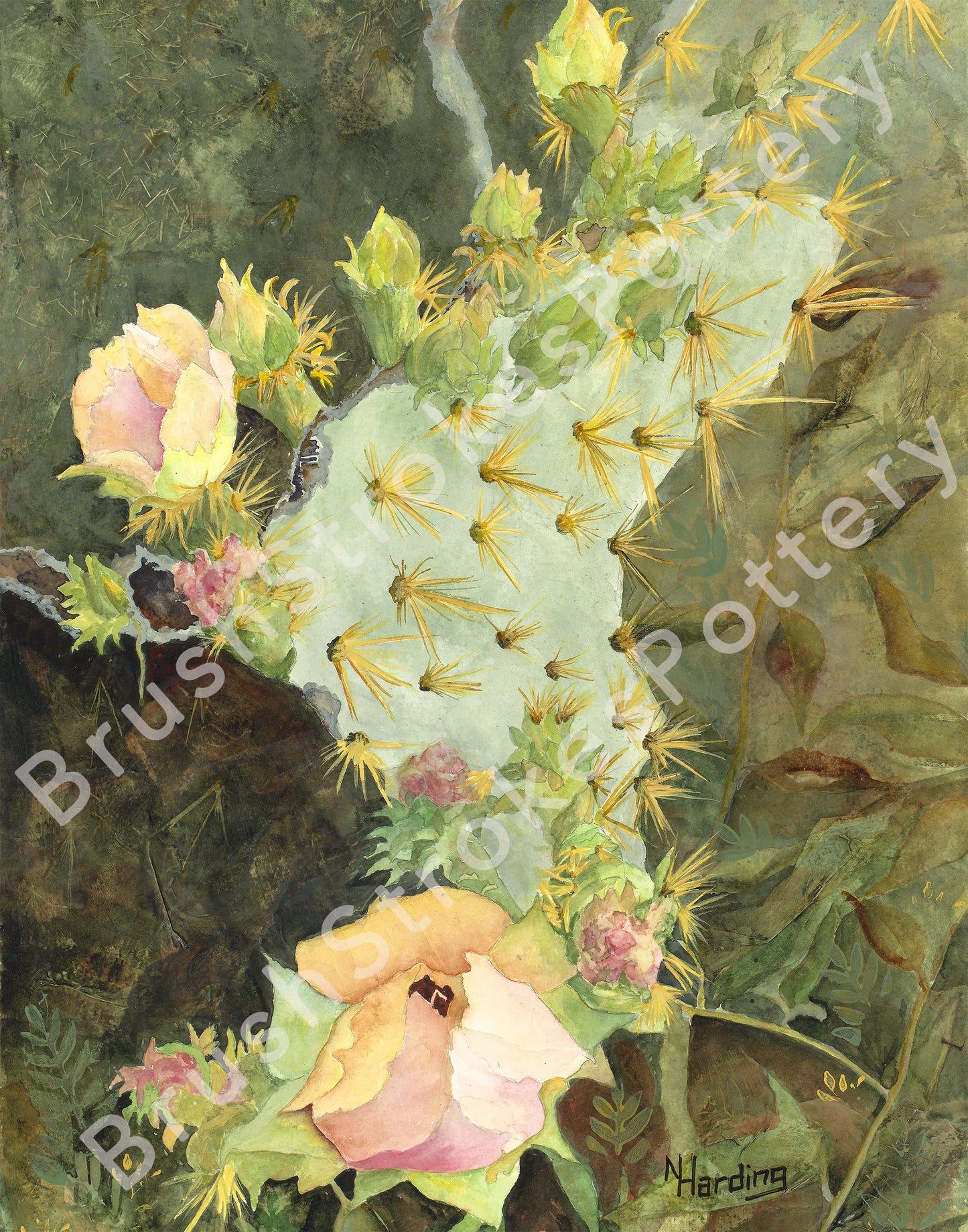 Prickly Pear Cactus Watercolor Print