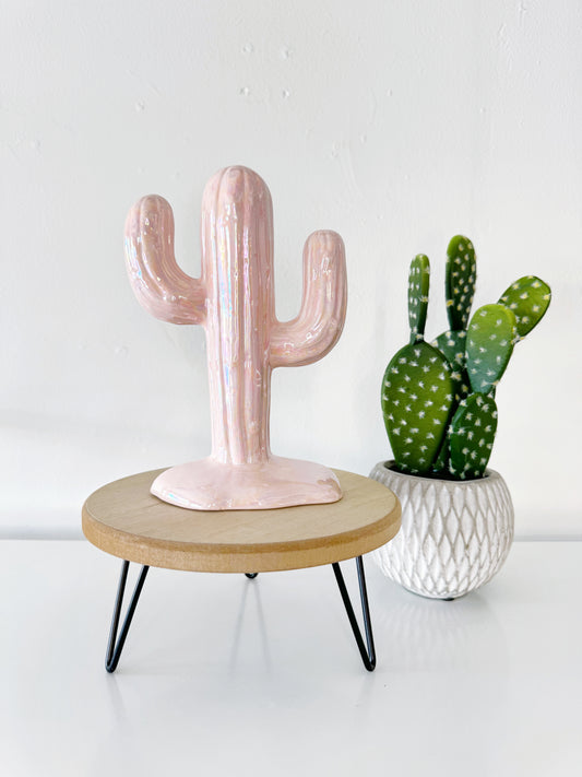 Country Ceramic Cactus Tree - The Dolly