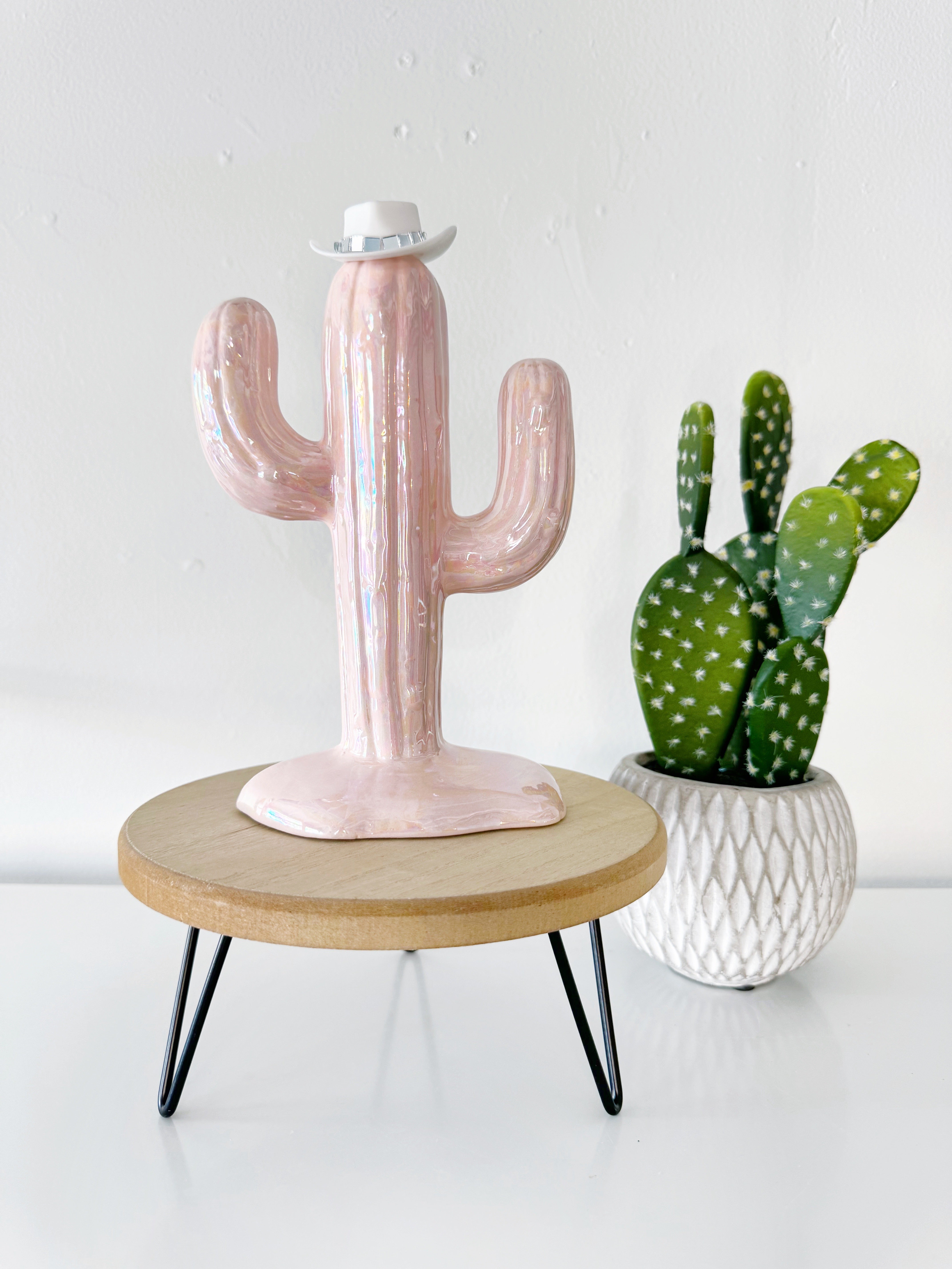 Country Ceramic Cactus Tree - The Dolly