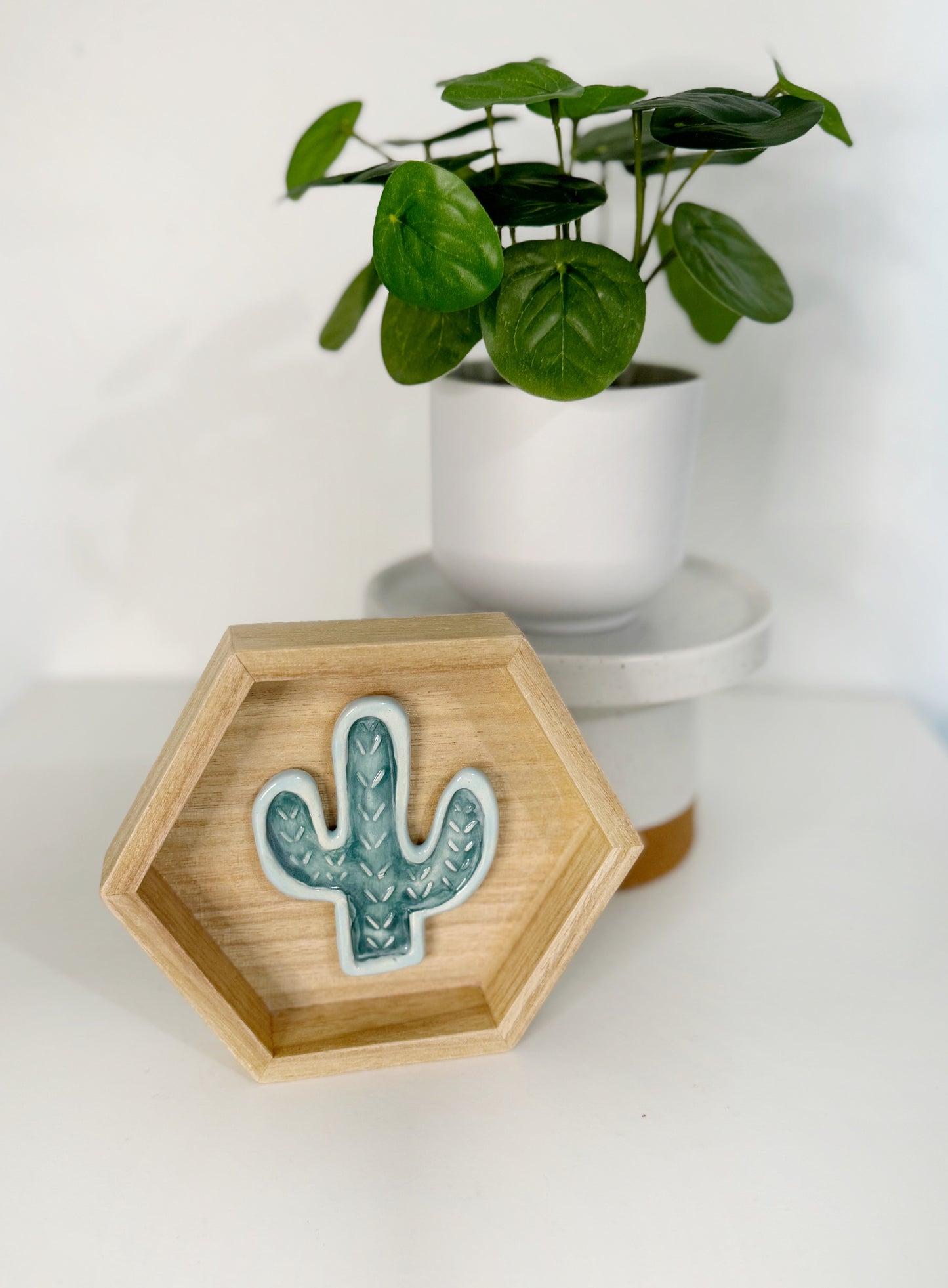 Hexagon Ceramic Cactus Wall Art - Light Pine