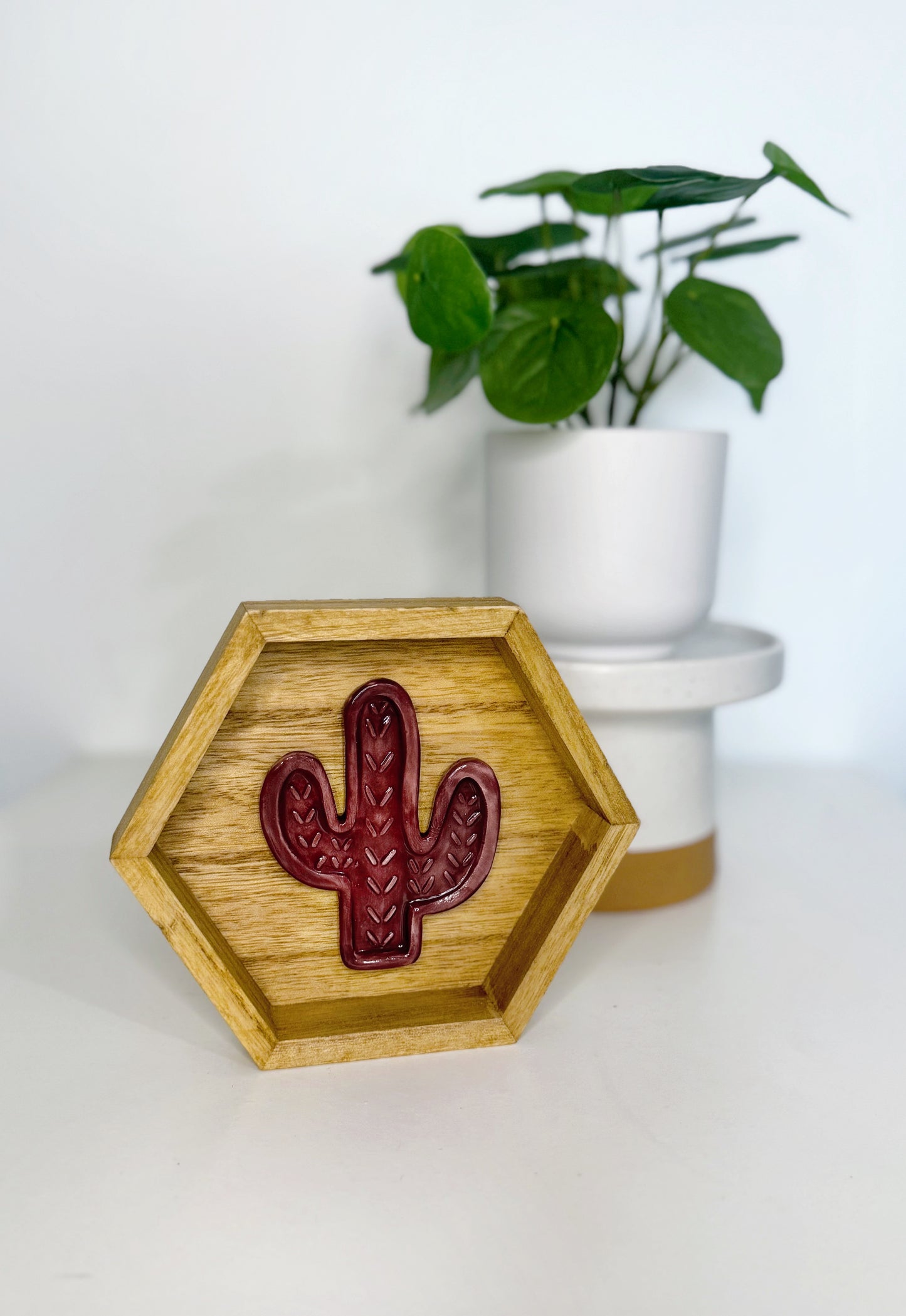 Hexagon Ceramic Cactus Wall Art - Golden Oak