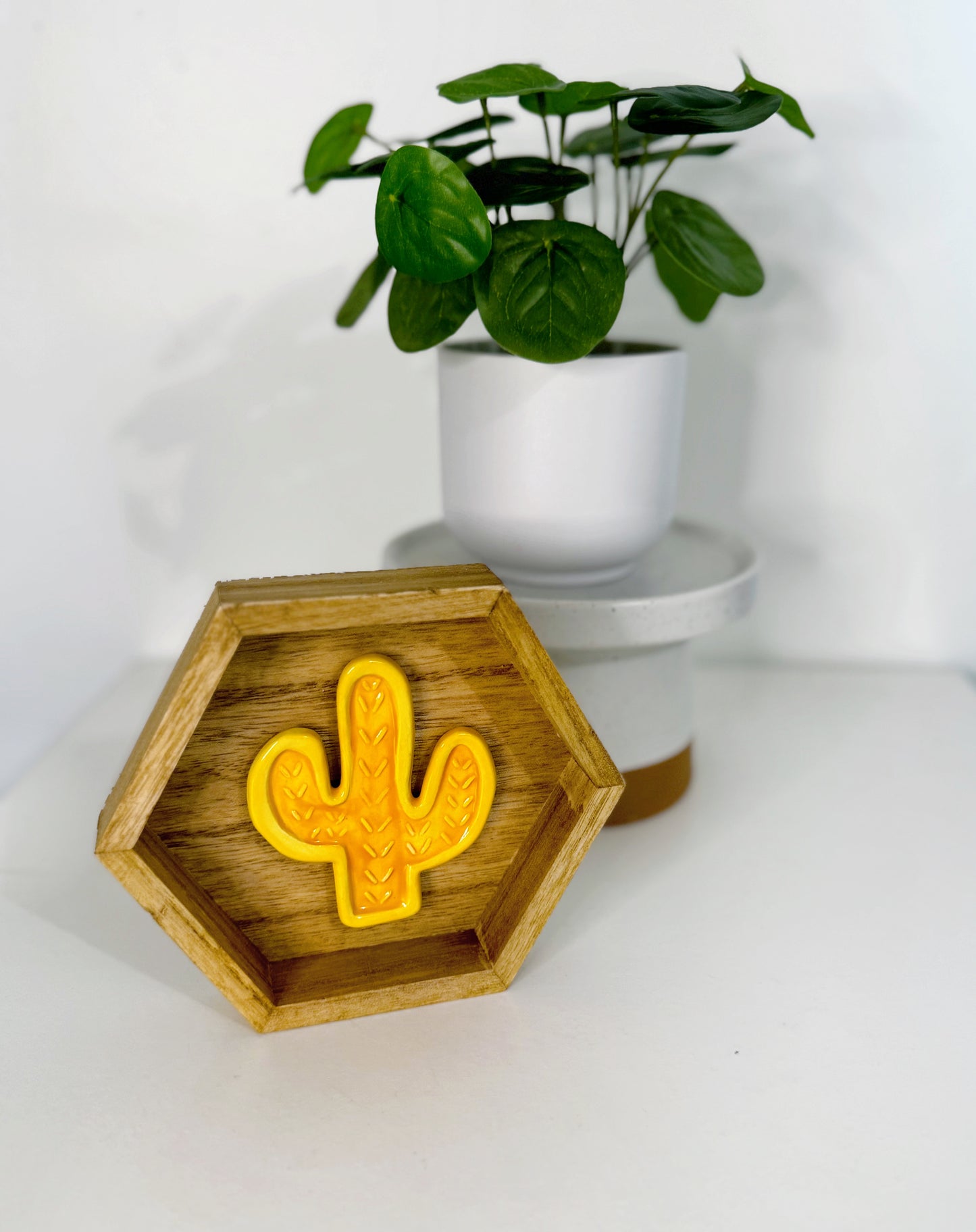 Hexagon Ceramic Cactus Wall Art - Golden Oak