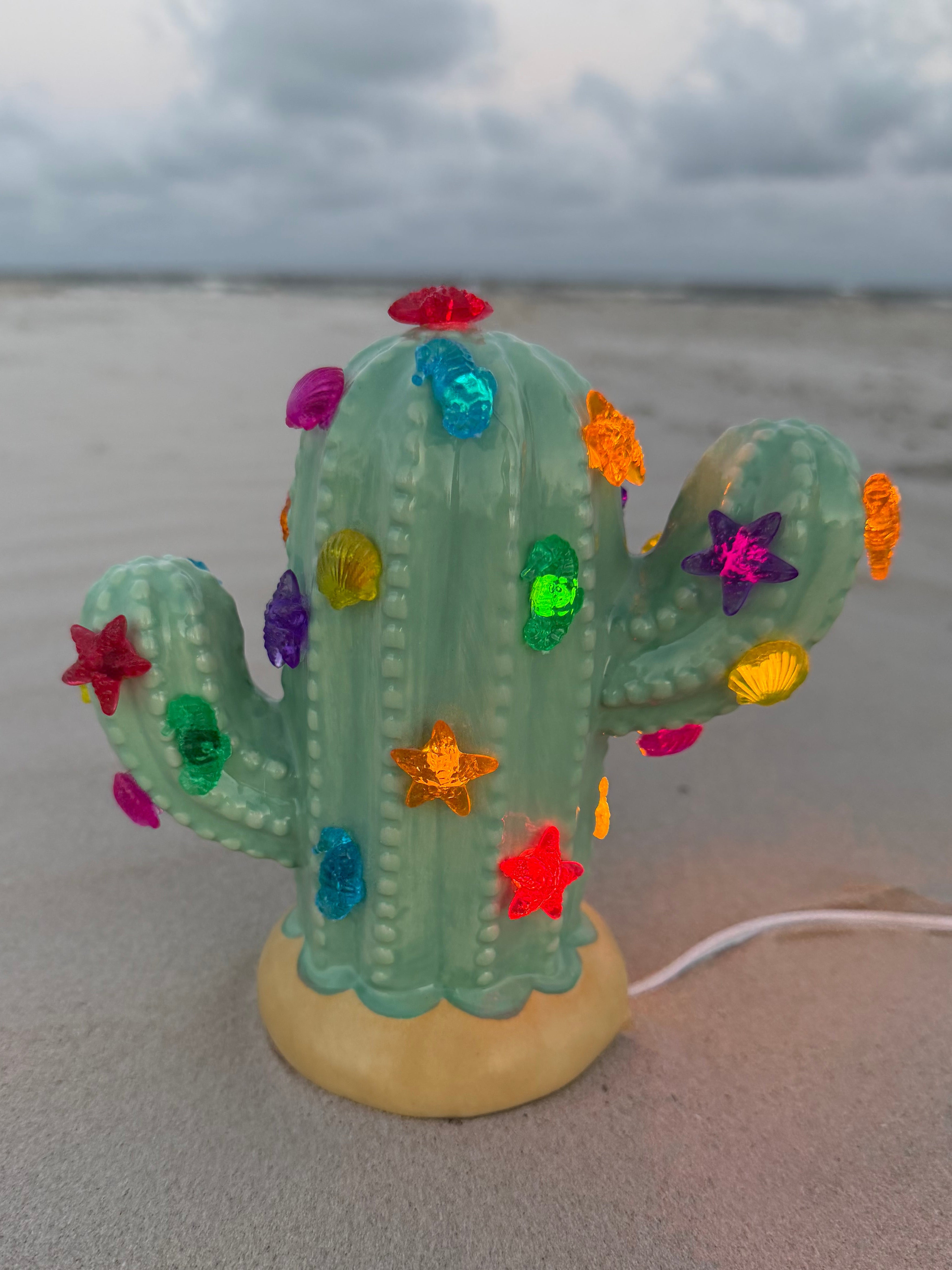 Mint Flower Cactus Bundle