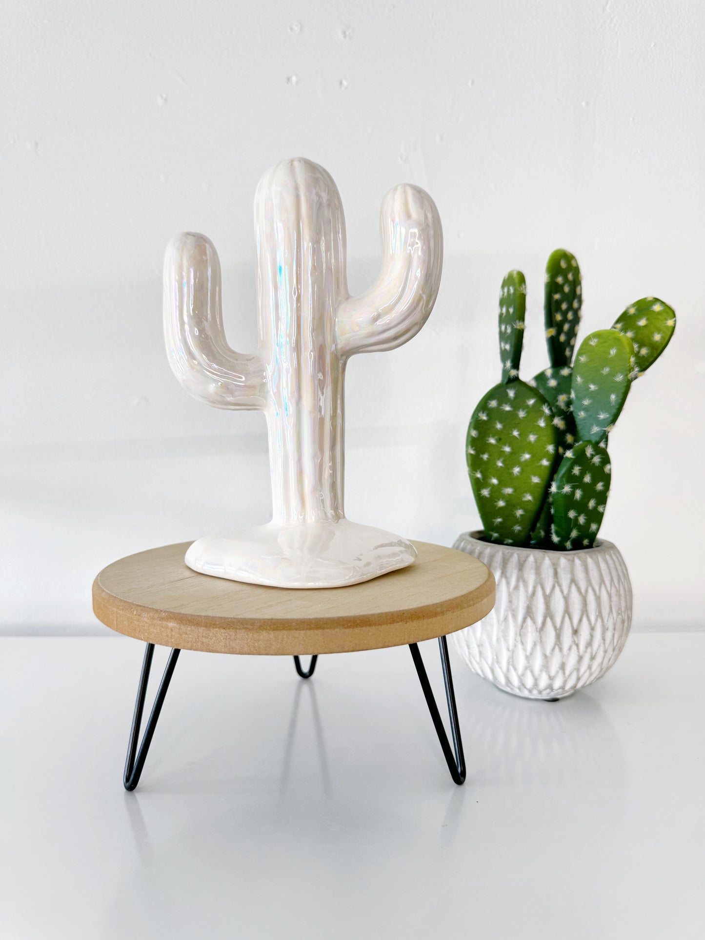 Country Ceramic Cactus Tree - The Kelsea