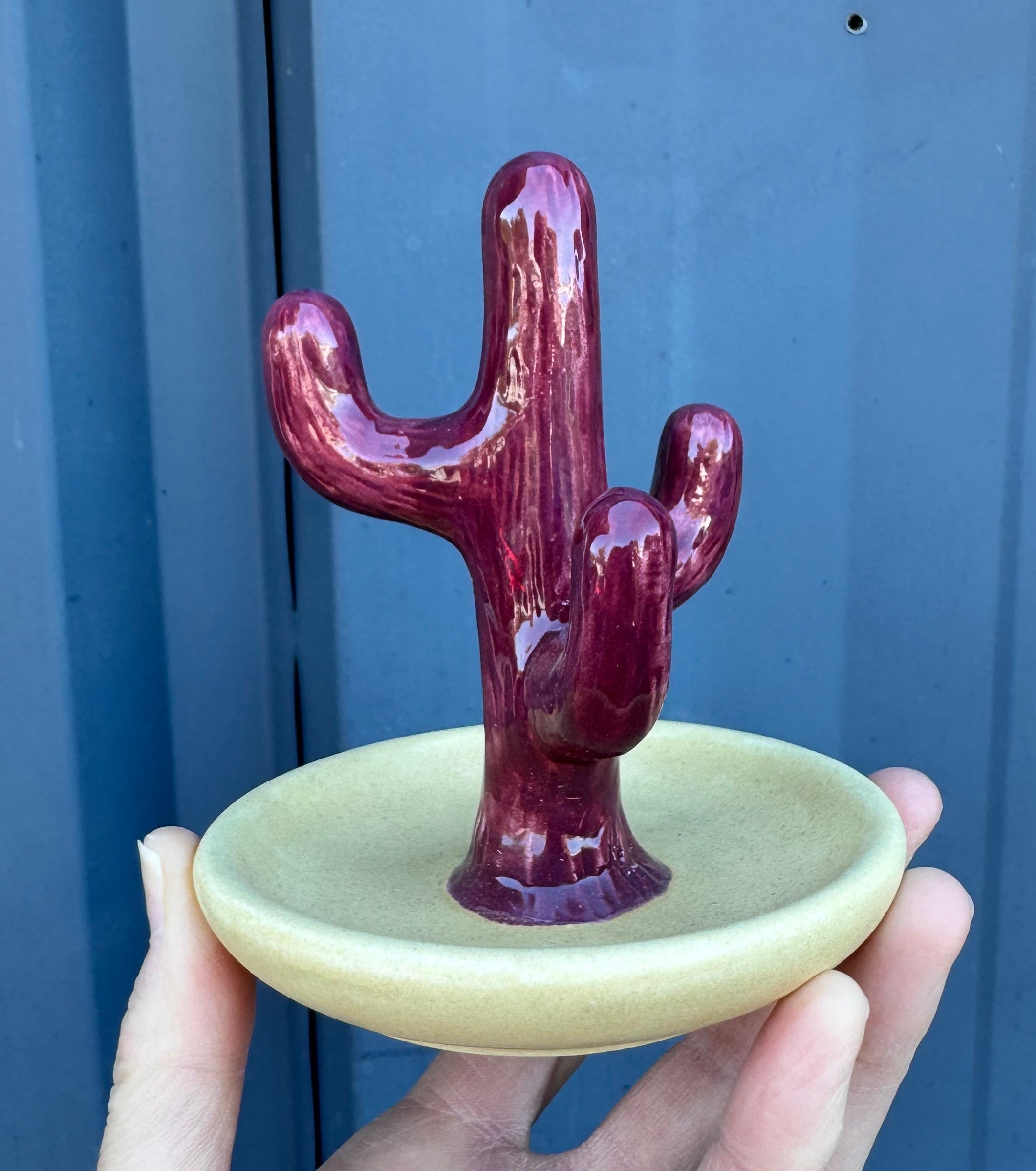 Cactus Jewelry/Ring Holder