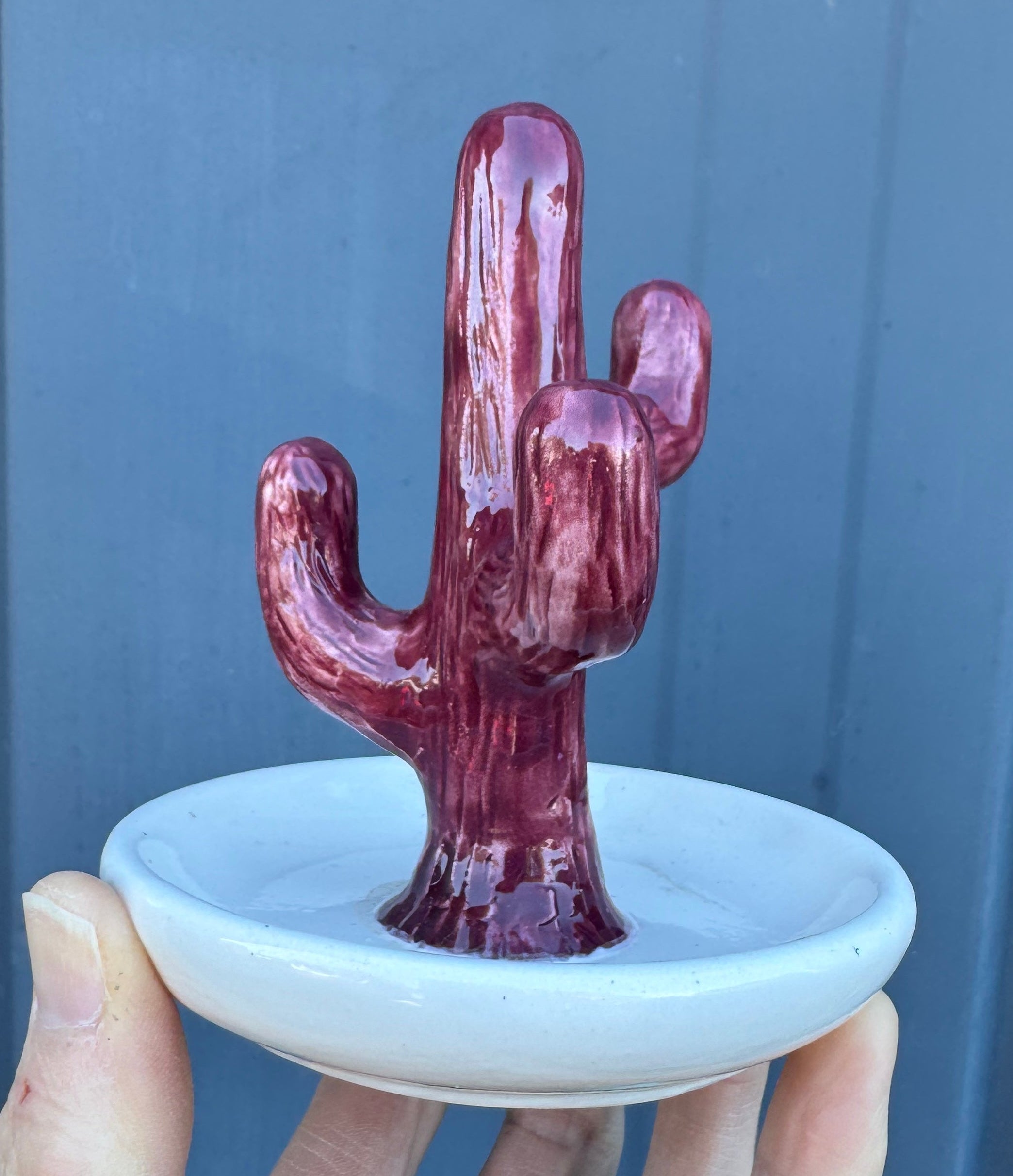 Cactus Jewelry/Ring Holder
