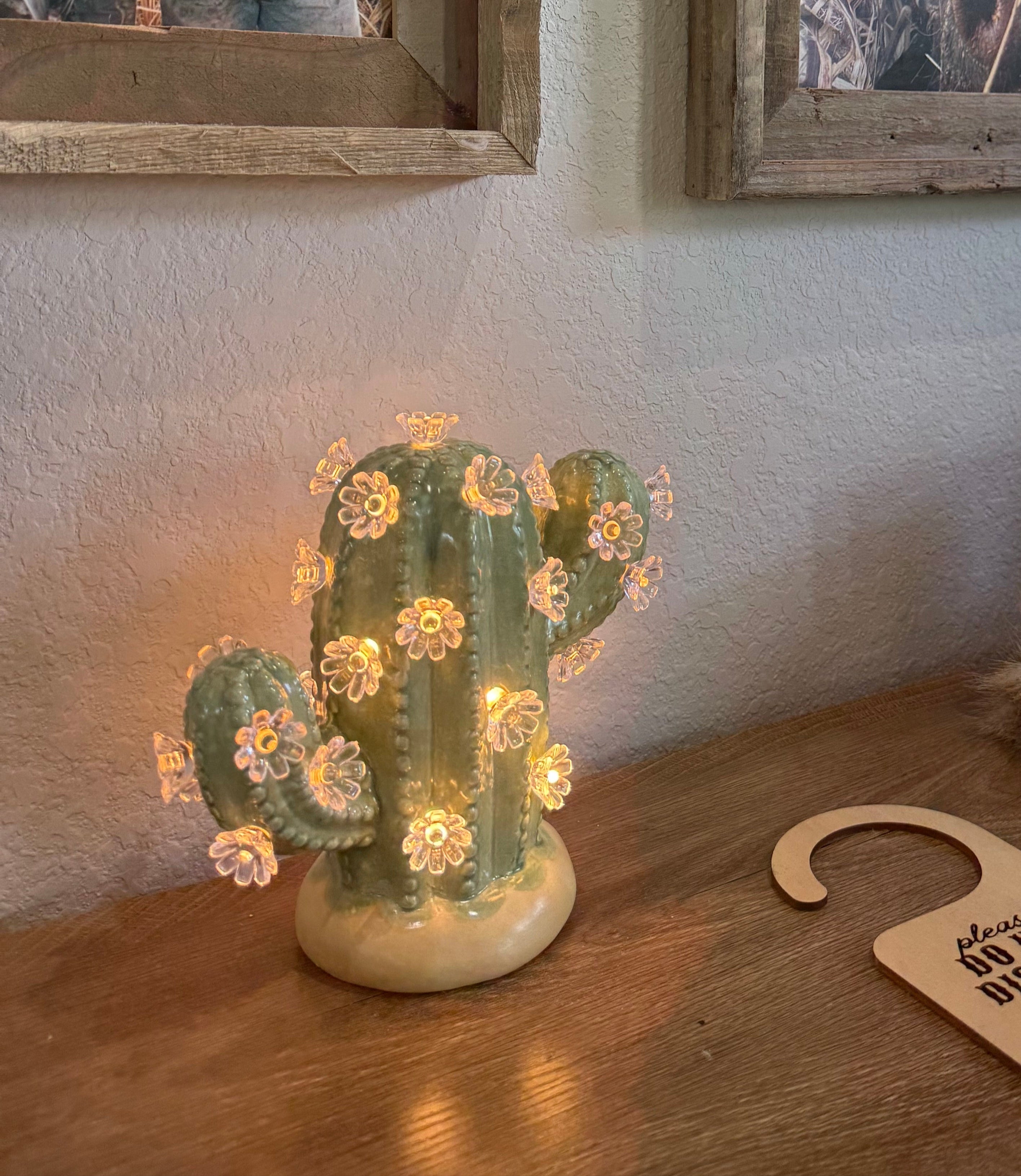 Small lighted cactus with flowers on entry table in texas ranch home.