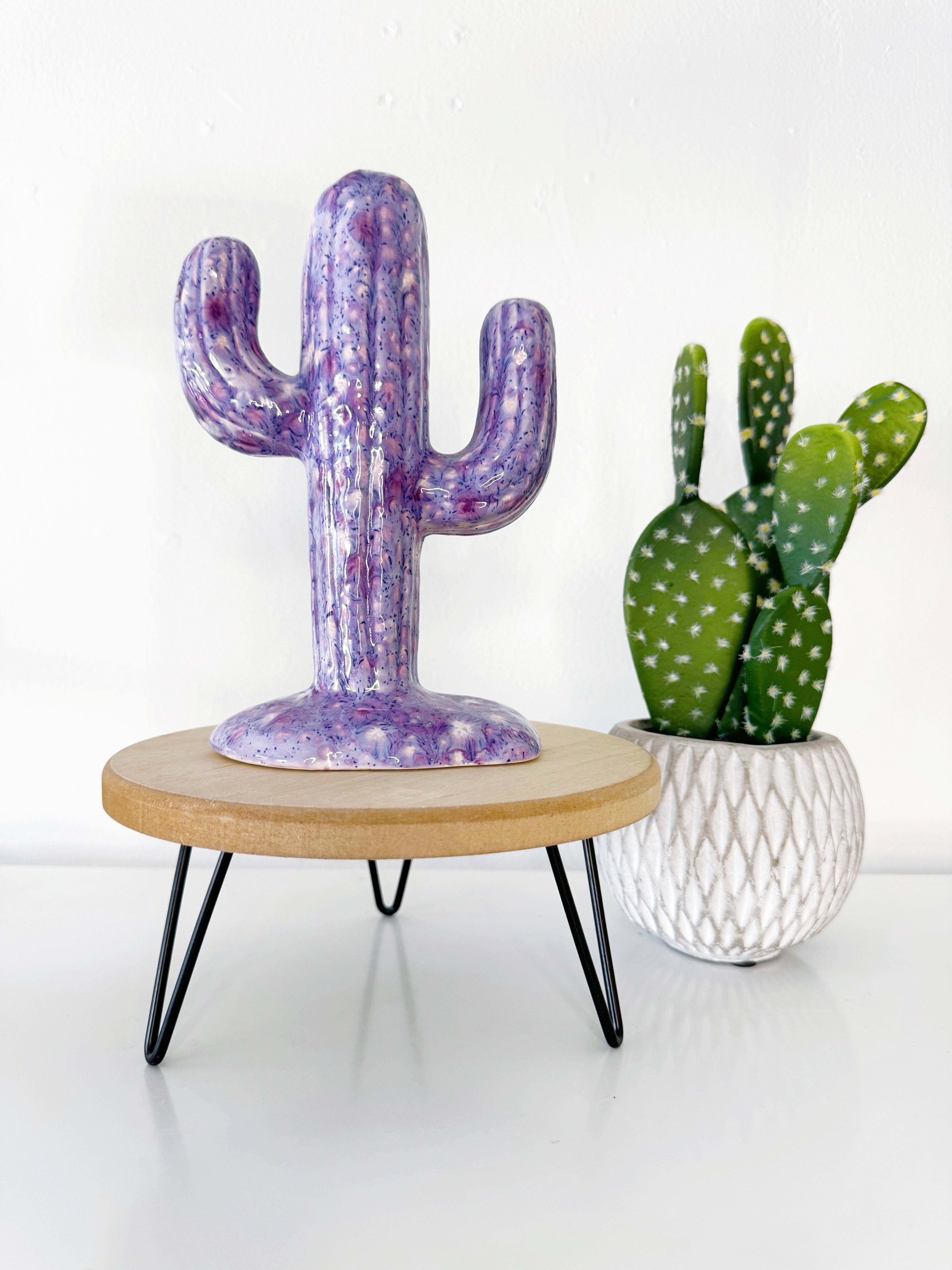 Country Ceramic Cactus Tree - The Shania
