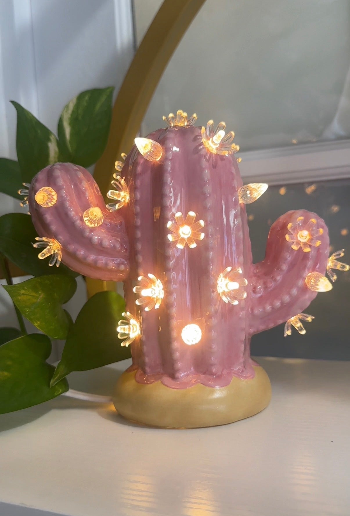 Pink Flower Cactus Bundle