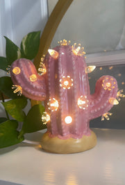 Pink Flower Cactus Bundle
