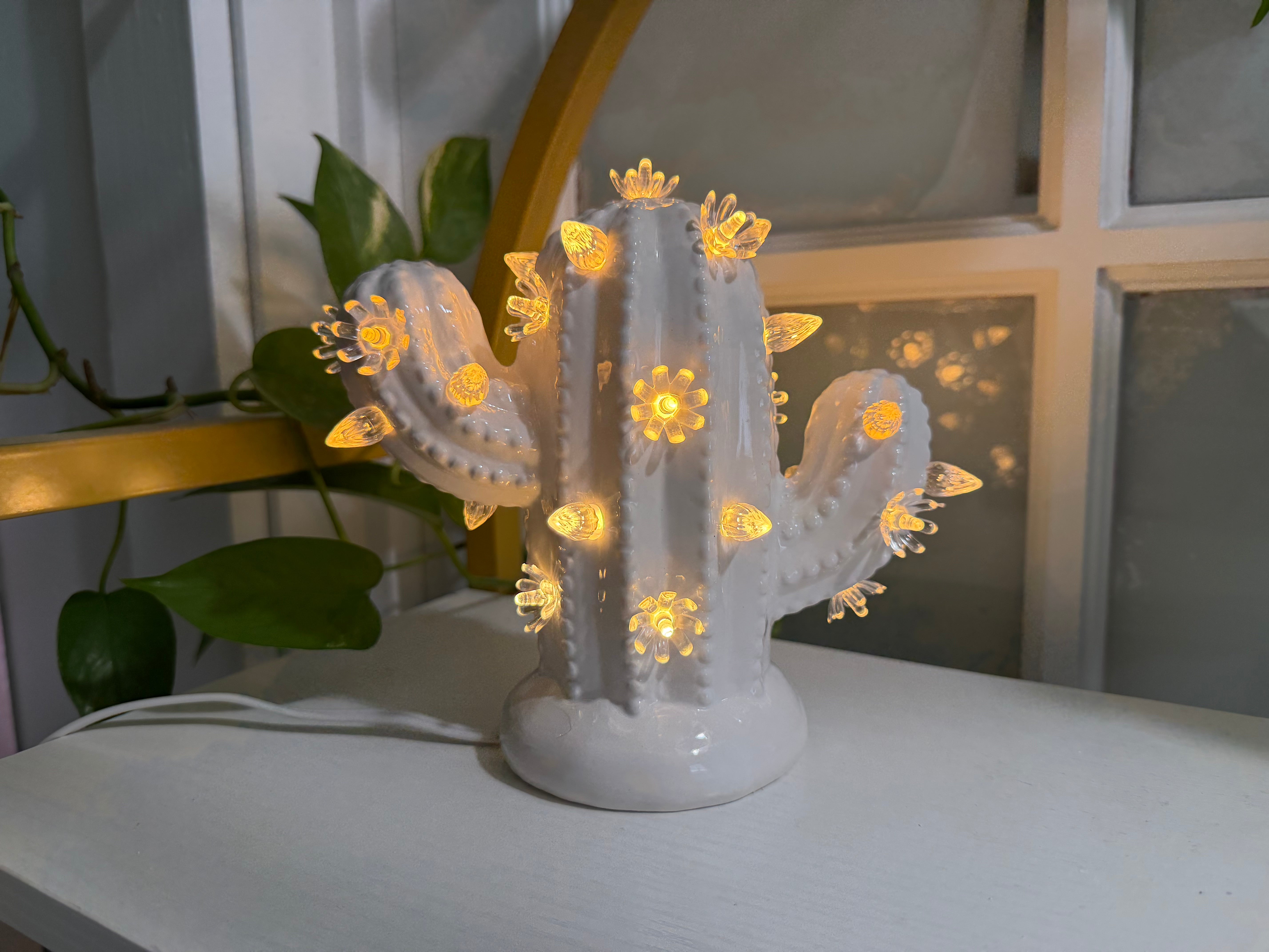 Classic White Cactus Bundle