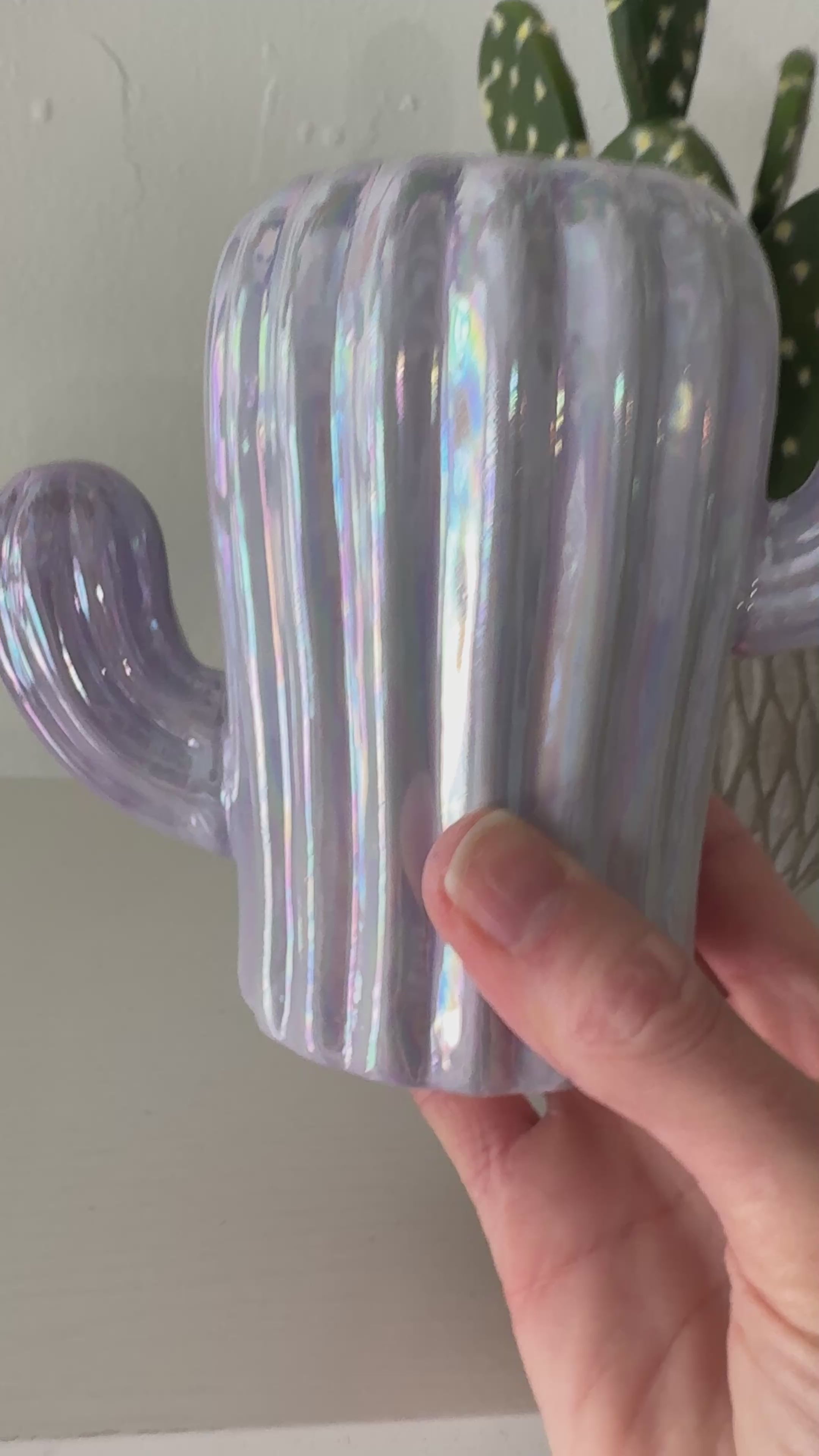 Load video: Cactus Planter