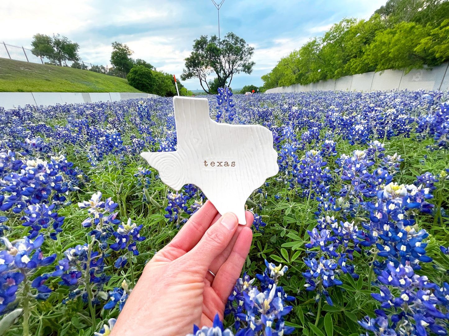 Texas Woodgrain Ceramic Ring Dish